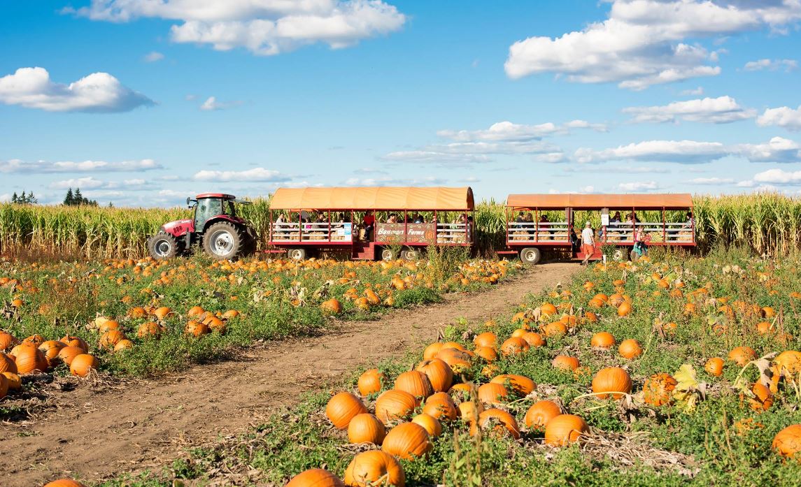 The Best Corn Mazes & Pumpkin Patches in Oregon – U-Store Self Storage