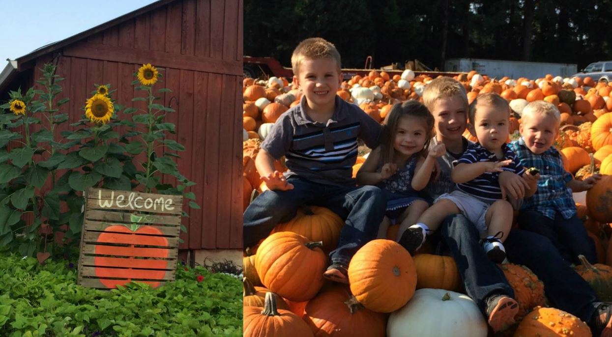 pumpkin patch roseburg oregon